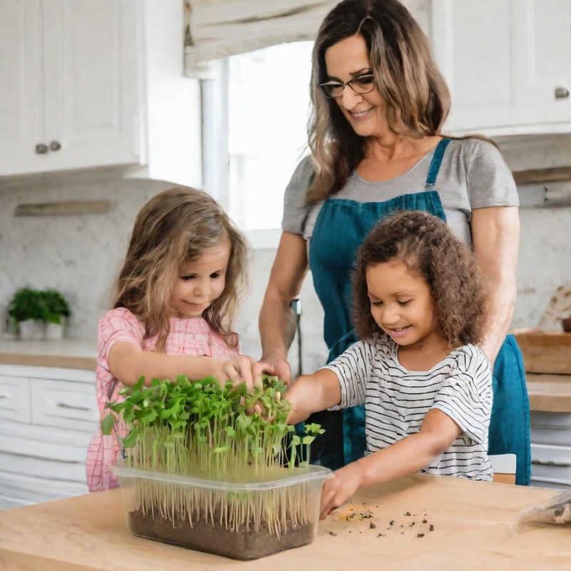 Todd’s Seeds - Alfalfa Sprouting Seeds - Easy to Grow