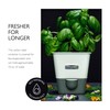 Cole & Mason Self-Watering Indoor Herb Garden Planter - Pot