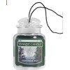 Yankee Candle Evergreen Mist Car Jar Ultimate