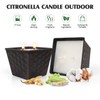 Citronella Candles Outdoor – 2 Pack, 12oz Each, Large Double-Wick