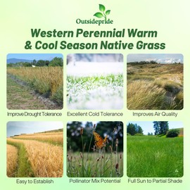 Outsidepride Western Native Grass Seed Mix - 5 lbs. Perennial Blend of Warm & Cool Season, Drought Tolerant Grass Seed for Natural Landscaping w/Wildflower, Soil Health Improvement & Erosion Control