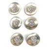 6 Lion Crest Metal Shiny Silver Buttons Sets for Dresses