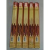HEM Cinnamon 100 Incense Sticks (5 x 20 stick packs)