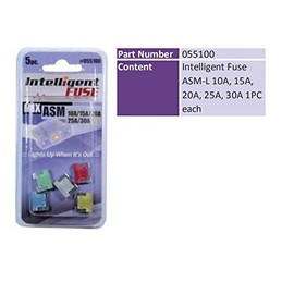 Car Fuses with Status LED Starter Set 5 Pieces ASM Mini 10-30A Chiavi INION