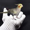 Refein Bird Training Anti- Bite Gloves, Parrot Chewing Working Protective