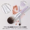 EDTRE Makeup Brushes Set of 11 Popular Cute Makeup Brushes