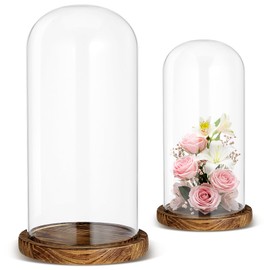 Suclain 2 Pcs Glass Display Dome Cloche 10” 7” Tall Glass Dome with Base for Display Decorative Tabletop Bell Jar Showcase for Toy Plant Medal Antique Collectibles Keepsakes