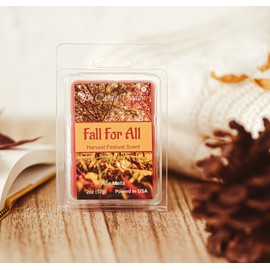 Fall for All - Harvest Festival Scented Wax Melt - 1 Pack - 2 Ounces - 6 Cubes