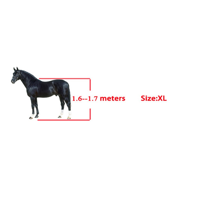 Horse Tendon Boots PU Shell Tendon Fetlock Brace for Riding