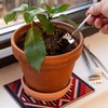 KIKKERLAND Mini Garden Tools CD703 Mini-Gartengeräte