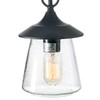 LOG BARN Outdoor Pendant Lights, Porch Fixture in Painted Black