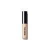 The Saem Cover Perfection Tip Concealer / 더샘 커버 퍼펙션