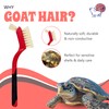 Turtle Cleaning Brush - Gently Remove Dirt from Turtles and