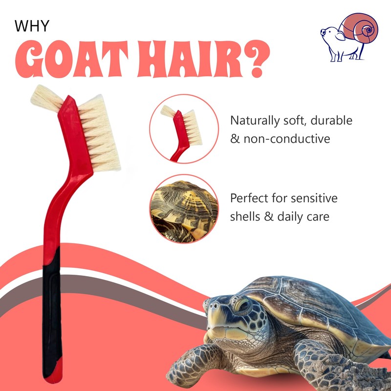 Turtle Cleaning Brush - Gently Remove Dirt from Turtles and