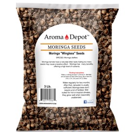 Moringa Seeds 3 lbs. (Approx. 4900-6000) WINGLESS Sun-Dried, PKM1, 100% Natural, Superfood, Nutritional, Rich in Vitamins Edible Seeds, Malunggay, Semillas De Moringa oleifera Seeds- Drumstick.