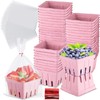 Amyhill 100 Pack Pink Pulp Fiber Berry Basket Set Include