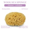 Baudelaire Sea Wool Sponge 5.5" - Natural Sea Sponge for