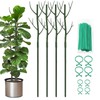 Vocray Plant Support Stakes for Indoor Plants,Trellis for House Potted