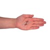 Pack of 100 Painted Blind Rivets 4.0 x 10 mm,