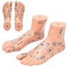 2pcs 19cm / 7.5in Feet Acupoint Model Acupuncture Teaching Aids
