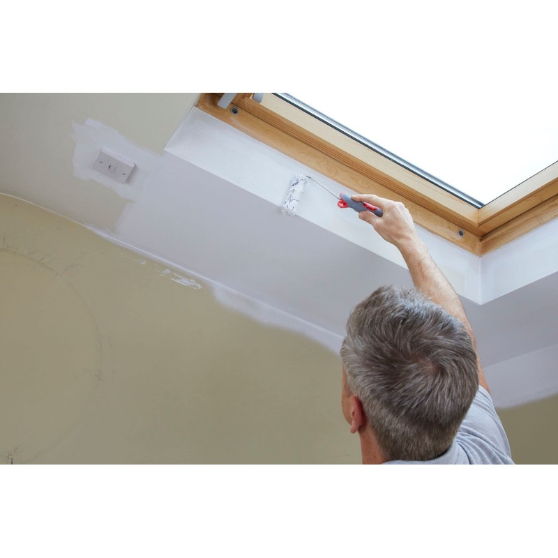 ProDec Advance 11 piece Medium Pile 4" Microfibre Mini Paint