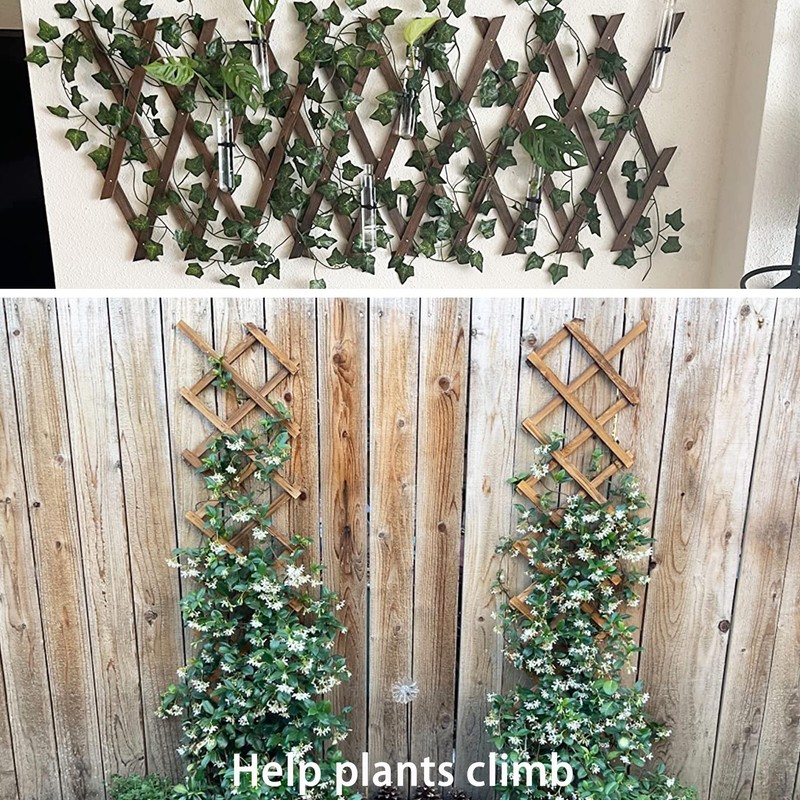2Pack Expandable Wooden Lattice Wall,Plant Garden Trellis for Climbing Plants