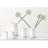 Vase White