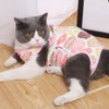 Cat Professional Surgery Recovery E-Collar Alternative, Cotton Breathable Sterilization Suit