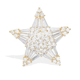 Women's Crystal Cubic Zirconia Winter Snowflake Star Shell Pearl Flower Brooch Pins Christmas Holiday Pendant Jewelry Clear Silver (Gold Star)