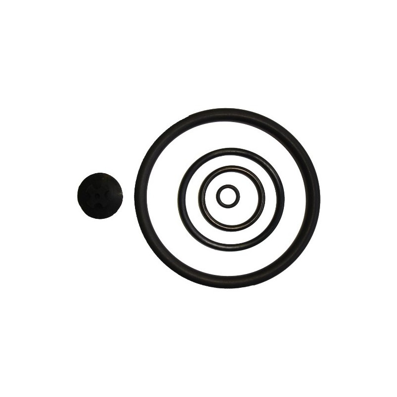 Solo 0610403-K Sprayer Pump Repair Kit