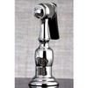 Kingston Brass Gourmetier KBSPR1 Kitchen Faucet Sprayer with Hose, Polished