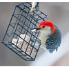 ST. ALBANS BAY SUET PLUS Suet Cake Variety Packs, 11
