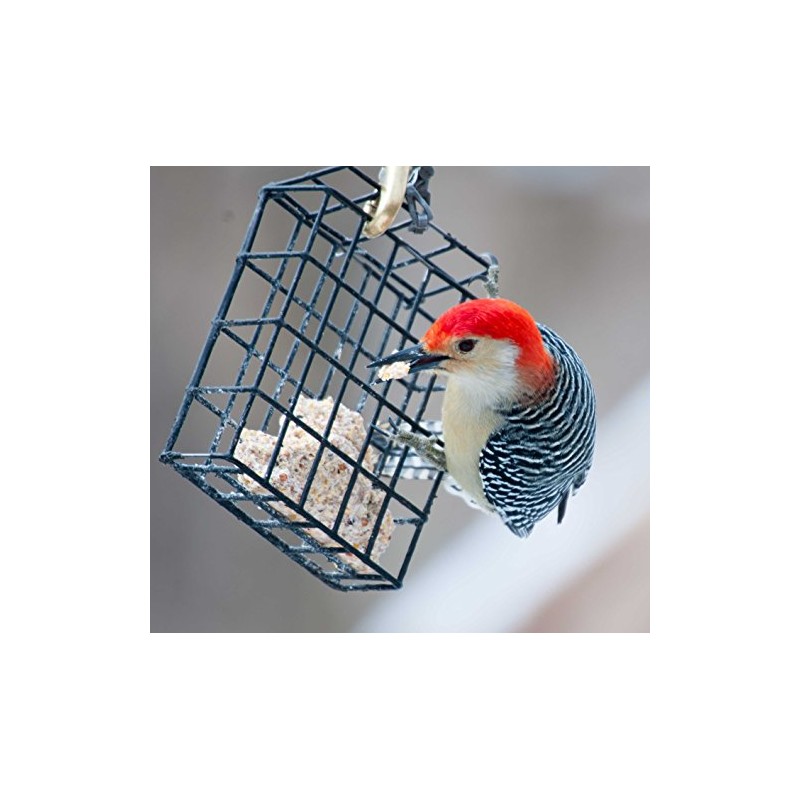 ST. ALBANS BAY SUET PLUS Suet Cake Variety Packs, 11