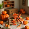 Nlinlin 15Pcs Miniature Carrot Models, Artificial Vegetables for Mini Kitchen