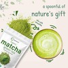 Micro Ingredients Organic Matcha Green Tea Powder, 1 lb |