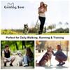 Guiding Star Double Handle Leather Dog Leash 6ft, Heavy Duty