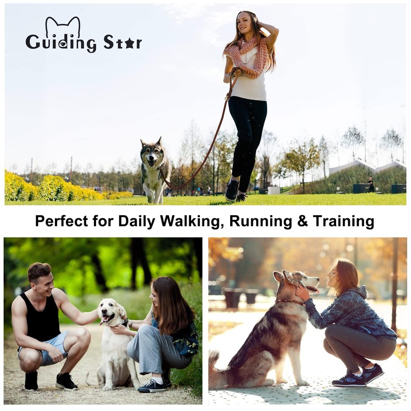 Guiding Star Double Handle Leather Dog Leash 6ft, Heavy Duty