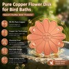 Dreplfn Daisy Flower Bird Bath Copper Disk 1 Pack 0.8mm