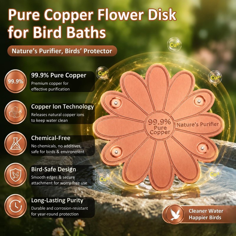 Dreplfn Daisy Flower Bird Bath Copper Disk 1 Pack 0.8mm
