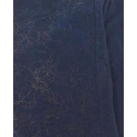 Mimi Pet Hair Remover - Remove Dog, Cat and Other Pet Hair from Furniture, Carpet, Bedding and Clothing - 2 Sponge