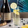 SHOSHIN Hand-Cut Crystal Stemless Champagne Flutes – Perfect for Parties,