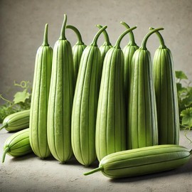 22Day Seeds: Seeds Long Gourd/Green Calabash/Non GMO/Heirloom