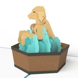 Lovepop Puppy Bath Time