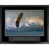 Craig Frames Excellence Eagle Majestic Mountain Lake View Scenic Framed