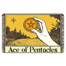 peacoblue Sticker for Bank Cards, Interesting Donkey, Custom Skin Cover, Protection for Credit Debit Cards, Tarot ass of the Pentacles, Unit size