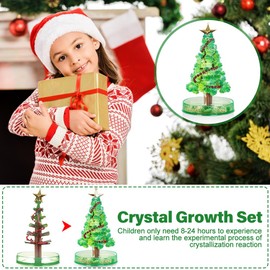 Udbrud Pack of 2 Magic Growing Crystal Christmas Tree, DIY Felt Magic Growing Xmas Ornaments, Mini Magic Christmas Tree Artificial, Christmas Decorations Crystal Paper Tree for Kids on Birthday Party