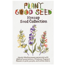 Plant Good Seed Organic Hyssop Seed Collection - 3 Packets - Pink, Purple, White Hyssop Flowers, Heirloom Seeds for Planting Flowers - Gardening Supplies, Wildflower, Flower - from USA