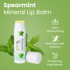 SPF Rx, SPF 30 Spearmint Sunscreen Lip Balm Broad Spectrum