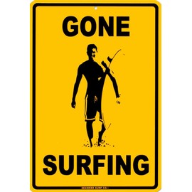 4K Video CameraoGone Surfing Tin SignF