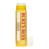 Burt's Bees 100 percent natural tinted lip balm coconut and